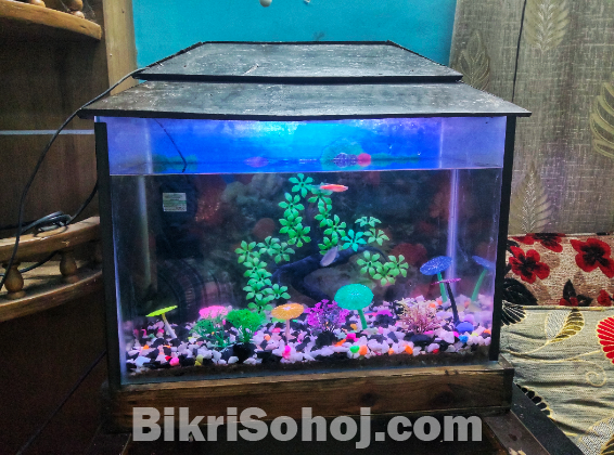 AQUARIUM FOR SALE WITH FISHES,DECORATION AND Power Filter